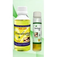 Eucalyptus Oil