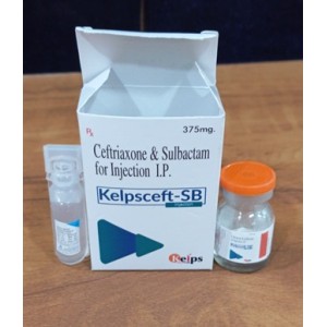 Kelpscef-SB 375
