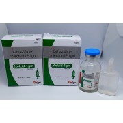 Kelzid-1gm Injection