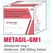 Metagil-GM1