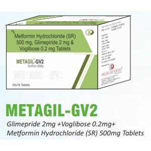 Metagil-GV2 Metagil-GV2