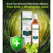 Amla + Wheatgrass Juice