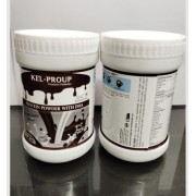 Kel-Proup Protein Powder with DHA